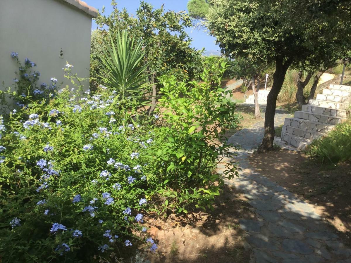 Residence Ile De Beaute Propriano  Exterior photo